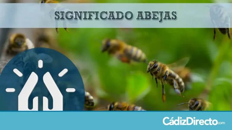 Significado Espiritual de las Abejas