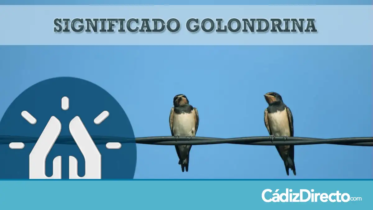 Golondrinas