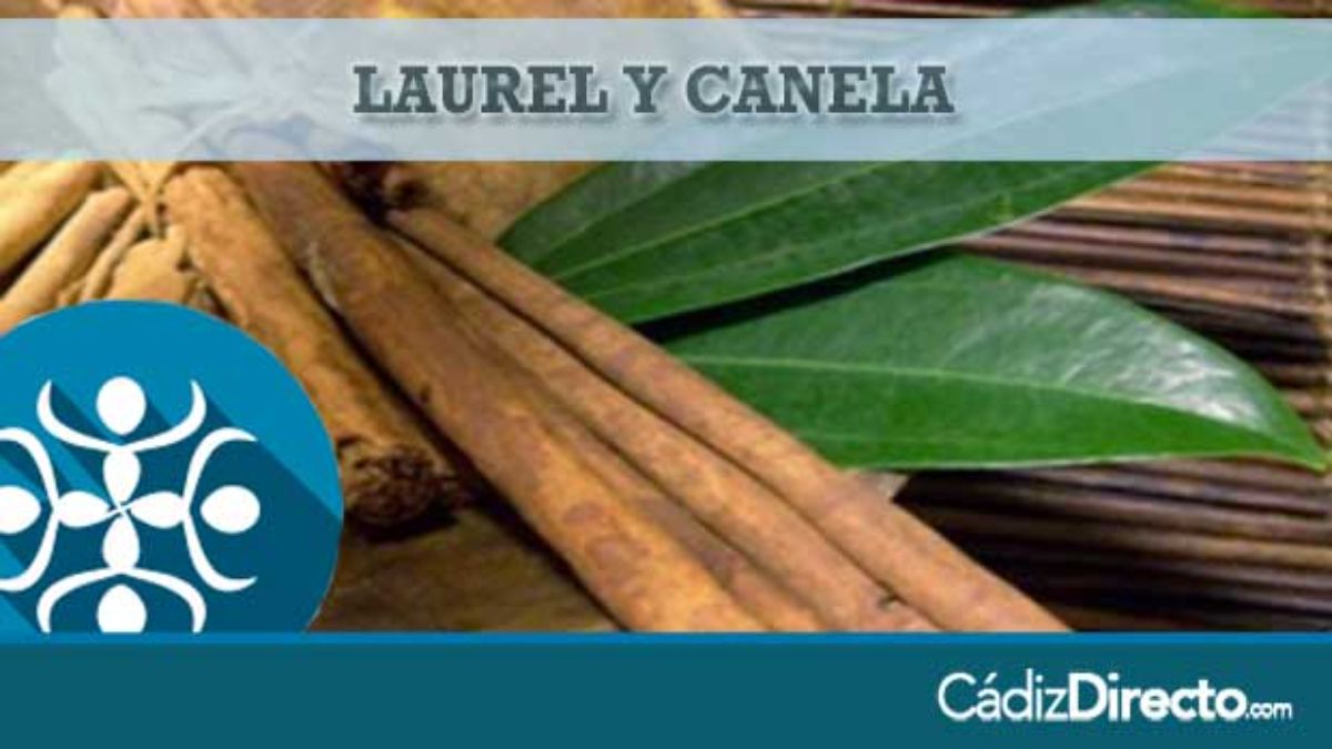 Laurel y Canela