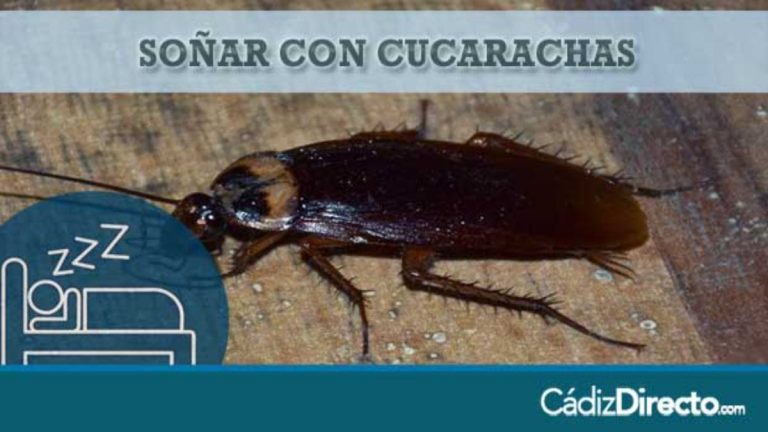 Cucarachas