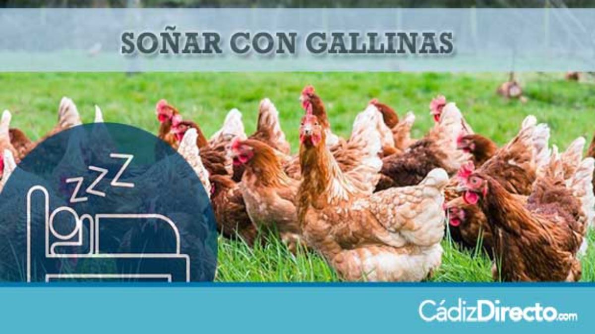 Gallinas