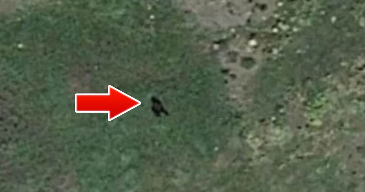 Fotografían un posible Bigfoot con Google Earth