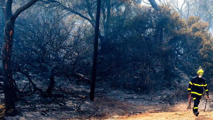 Bombero luchando contra el incendio.