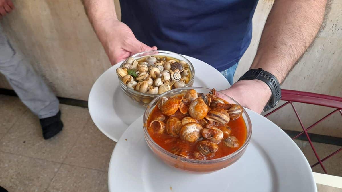 Caracoles y cabrillas en tomate en Bar Mari y José