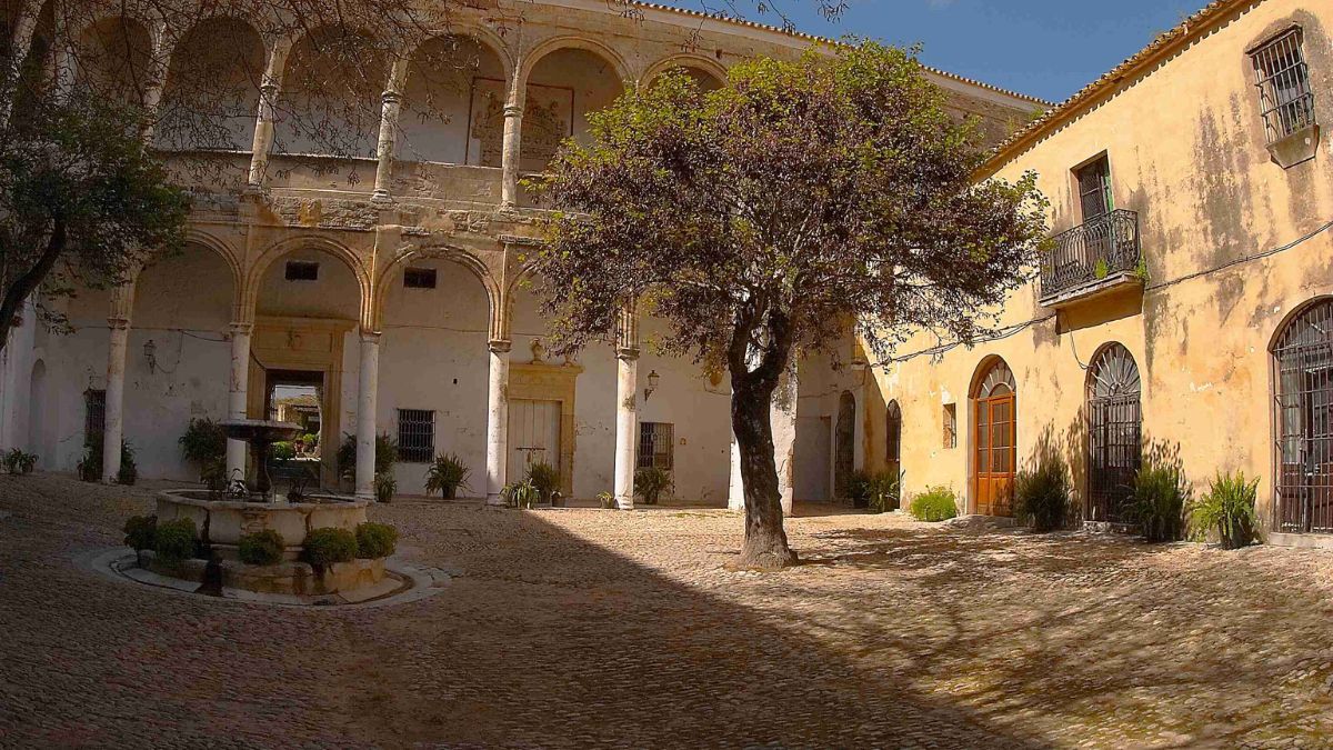 Castillo Palacio de los Riberas