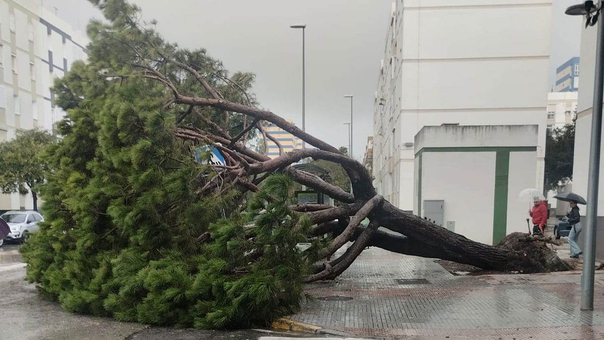 Suspensión de las clases y numerosas incidencias en Cádiz por la lluvia