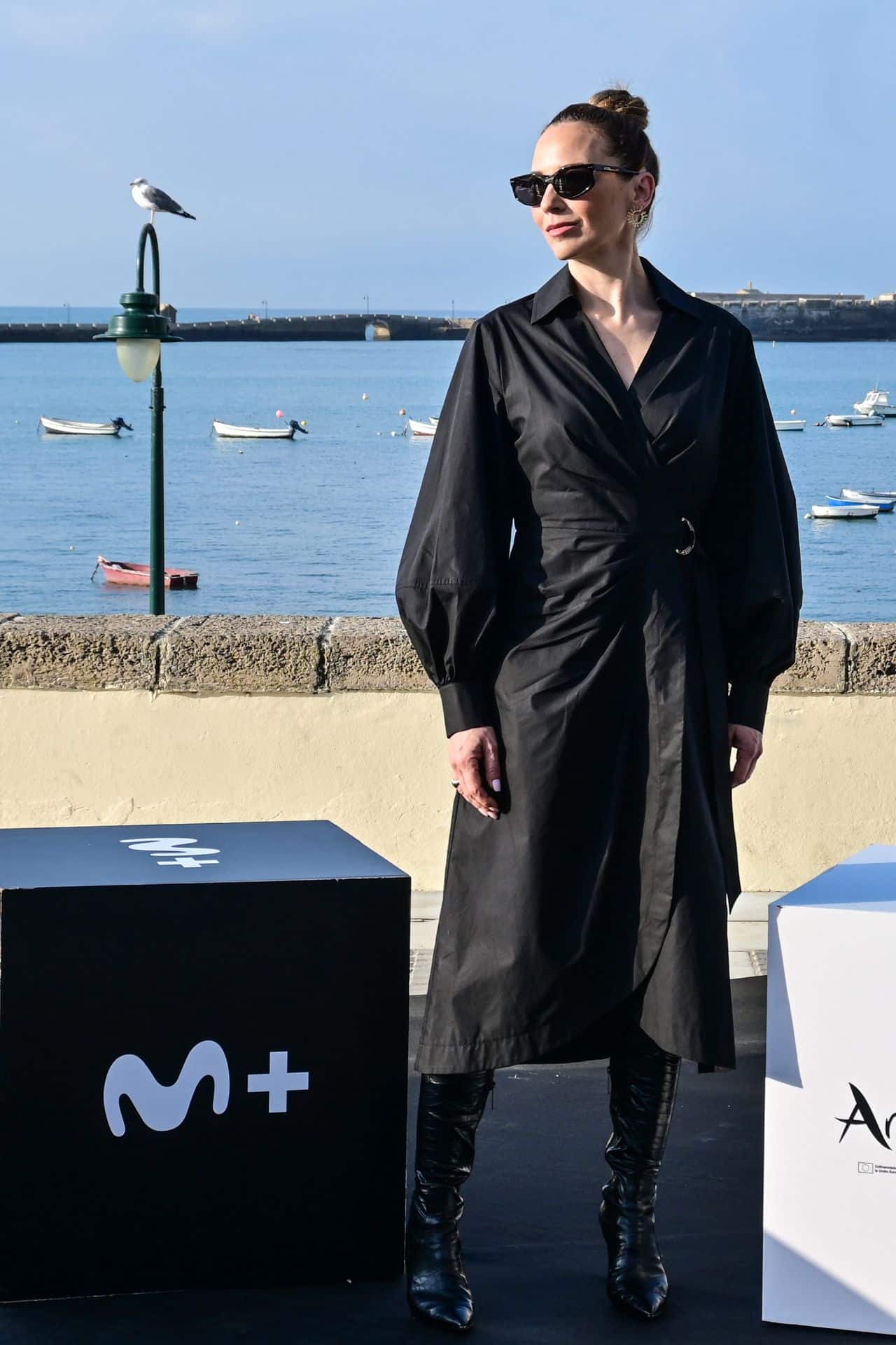 Las gaviotas de Cádiz reclaman su protagonismo en el Festival de Series South