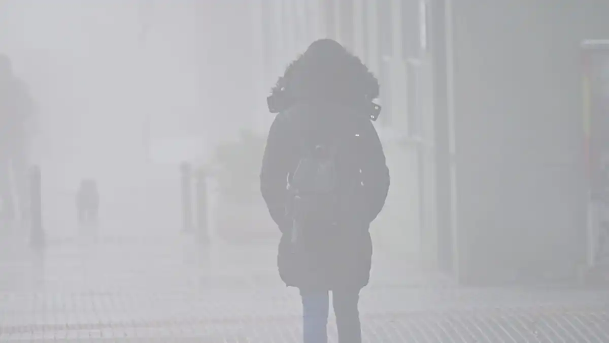 “Se les ha ido de las manos a los de la serie que Cádiz se parezca a Londres“. Imágenes curiosas de la mañana de niebla